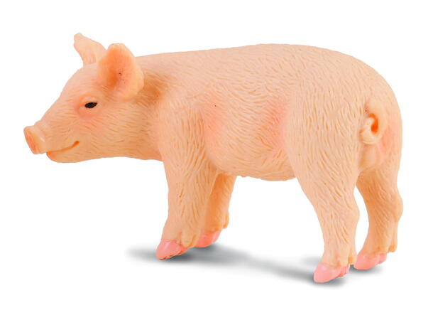 PIGLET 