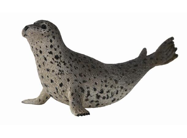 SPOTTED SEAL 
