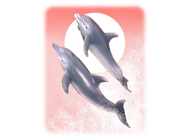 TUMLER DELFIN  M - 88042 COLLECTA 