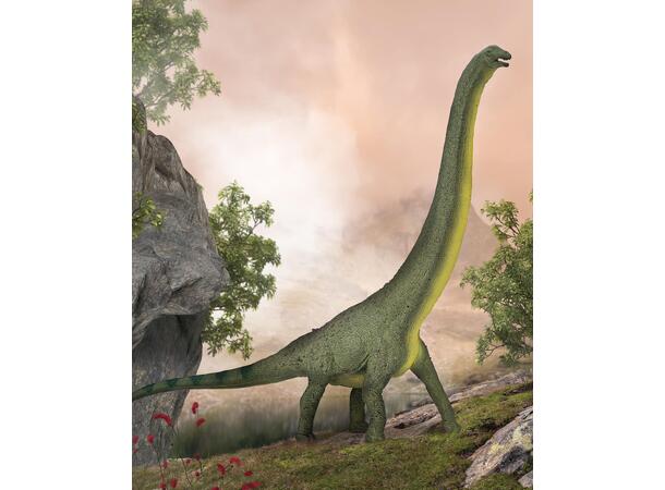 DREADNOUGHTUS DELUXE COLLECTA 