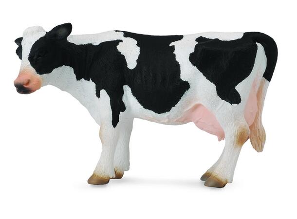 FRIESIAN KU L 88481 COLLECTA 