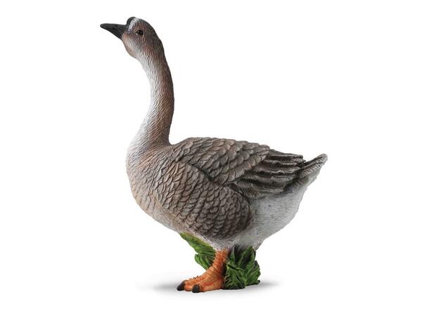 GÅS M 88571 COLLECTA 