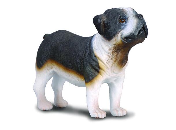 BULLDOG M 88179* COLLECTA 