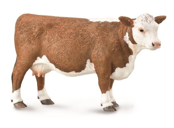 HEREFORD KU L 88860 COLLECTA 