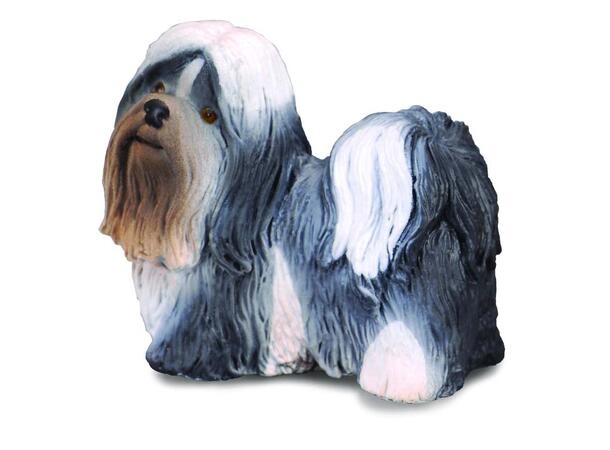 SHIH TZU - M COLLECTA 