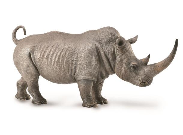 WHITE RHINOCEROS 