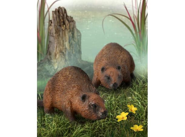 BEAVER 