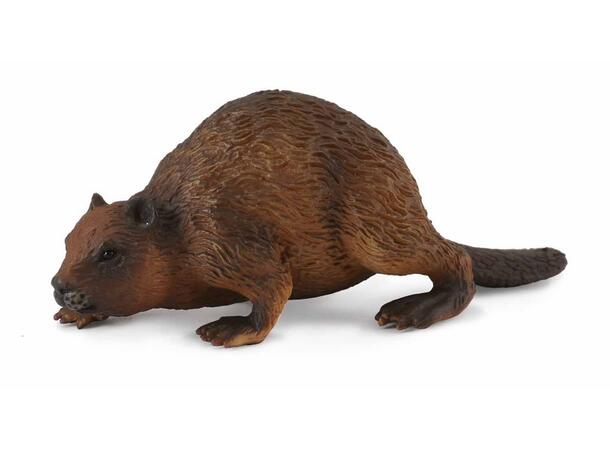BEVER M 88382* COLLECTA 