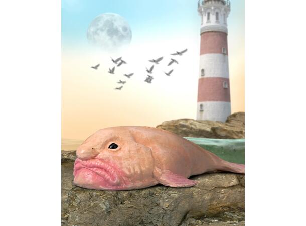 BLOBFISK S COLLECTA 