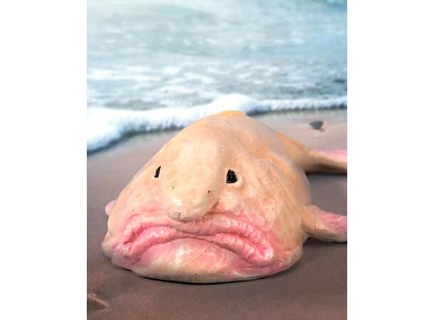 BLOBFISK S COLLECTA 