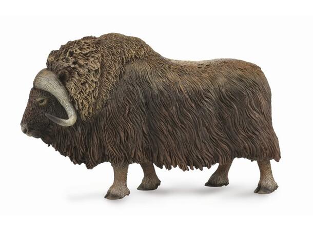 MOSKUS OX 