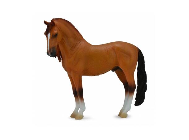 CAMPOLINA STALLION RED DUN 