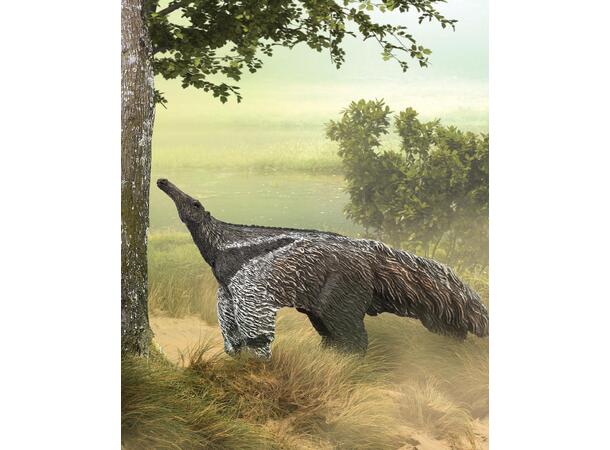 GIANT ANTEATER 