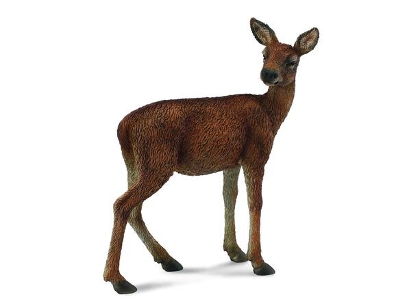 RED DEER HIND 