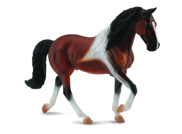 TENNESSEE WALKING HORSE 
