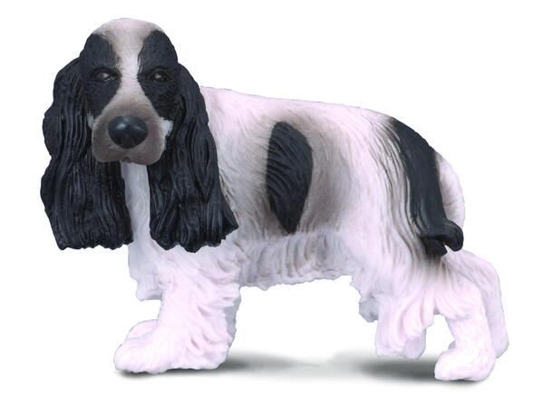 ENGLISH COKCER SPANIEL 