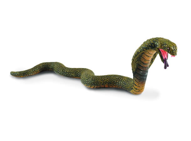 KING COBRA 