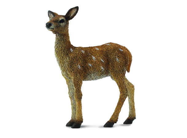RED DEER CALF 