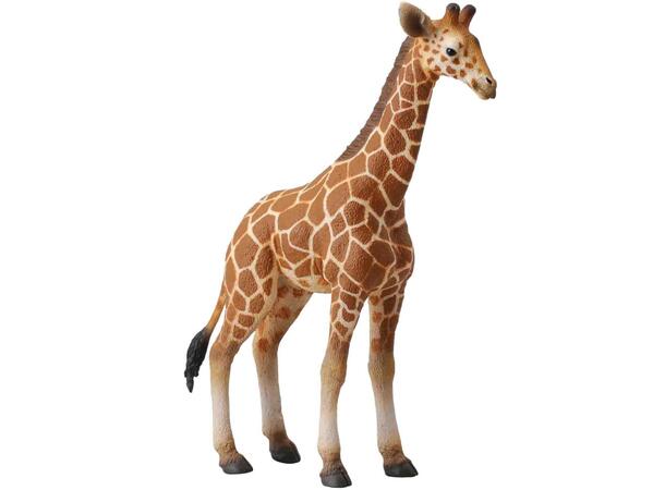 SJIRAFF KALV M/RETICULÆRT MØNSTER L COLLECTA 