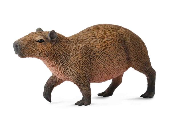 CAPYBARA 