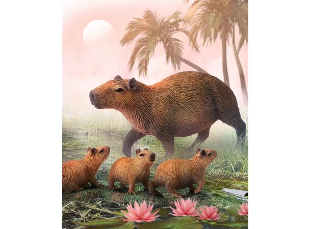 CAPYBARA 