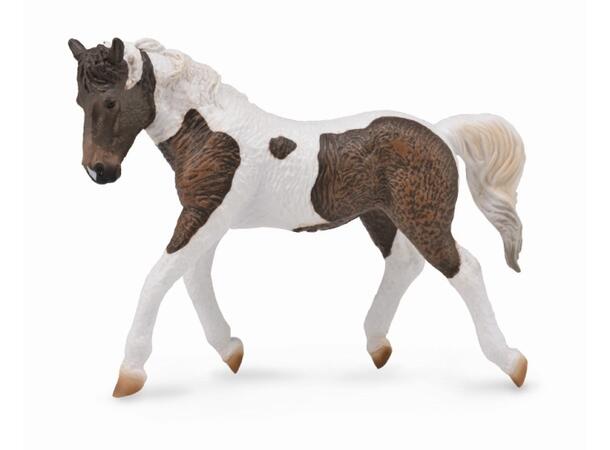CURLY  MARE 