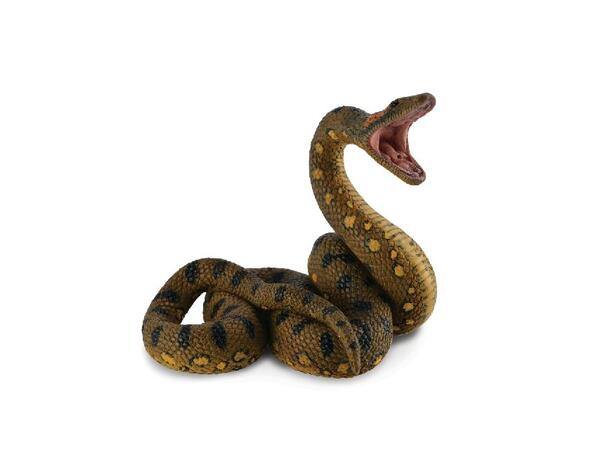GREEN ANACONDA 