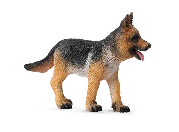 SCHÆFERVALP S 88553 COLLECTA 