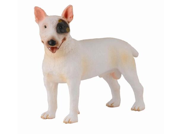 BULL TERRIER COLLECTA 