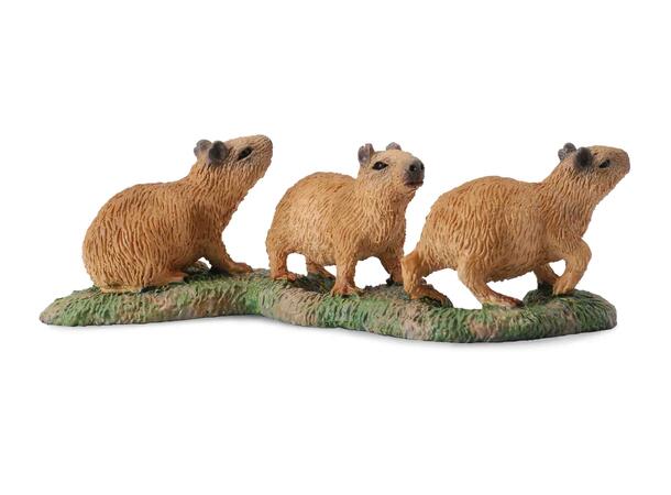 CAPYBARA BABIES 