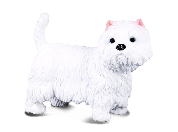 WEST HIGHLAND WHTIE TERRIER 