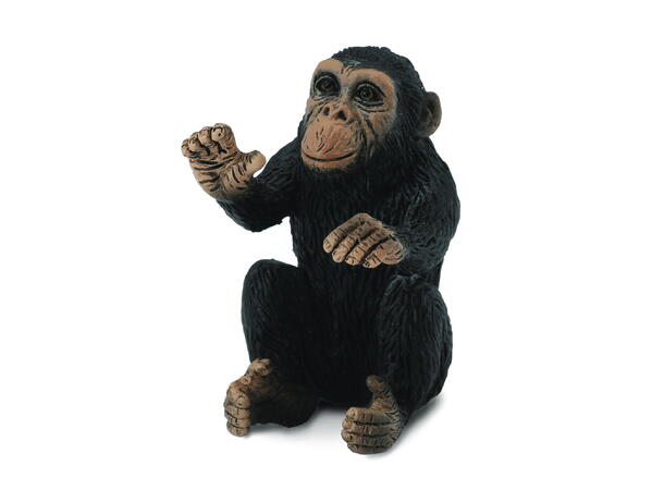 CHIMPANZEE CLUB HUGGING 