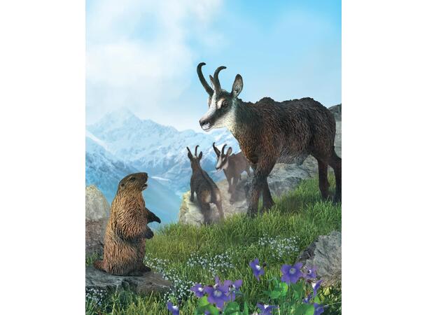 MARMOT 