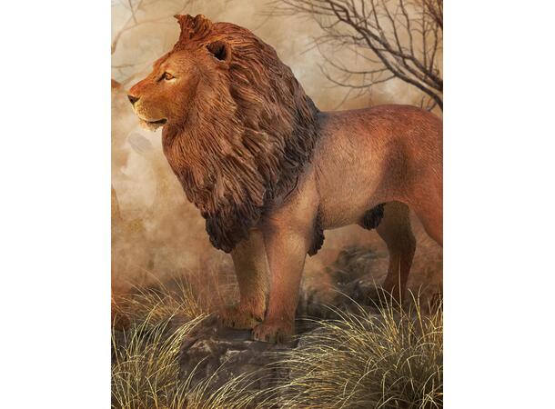 AFRICAN LION 