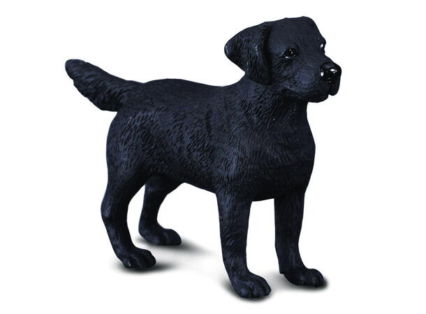 LABRADOR RETRIEVER 