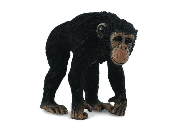 SJIMPANSE HUNN M 88493 COLLECTA 