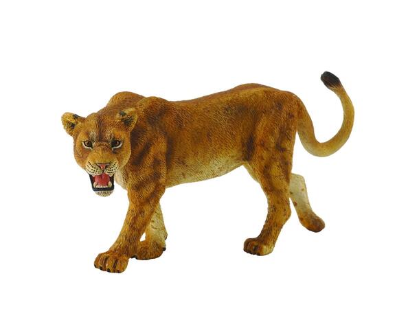 LIONESS 