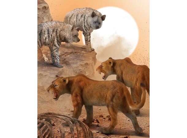 LIONESS 