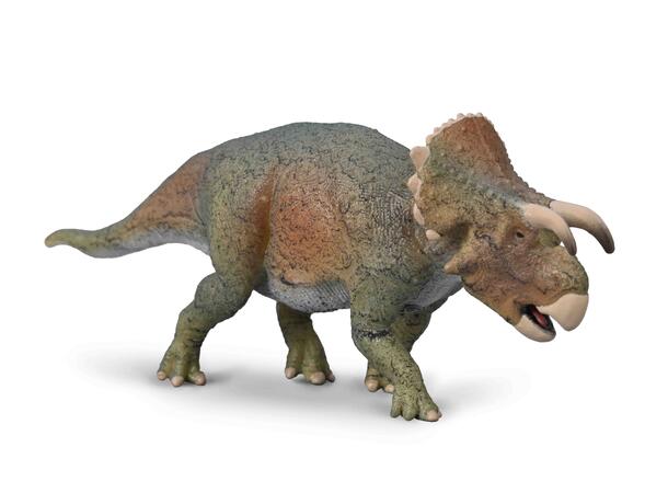FURCATOCERATOPS 