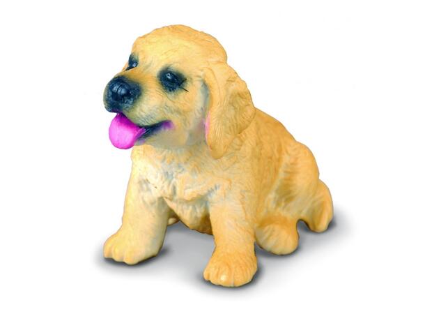 GOLDEN RETRIEVER PUPPY 