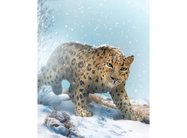 LEOPARD AMUR 