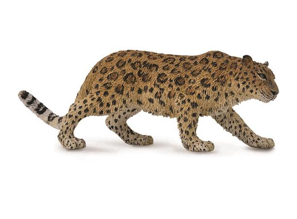 LEOPARD XL 88708 COLLECTA 
