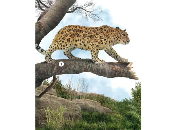 LEOPARD XL 88708 COLLECTA 