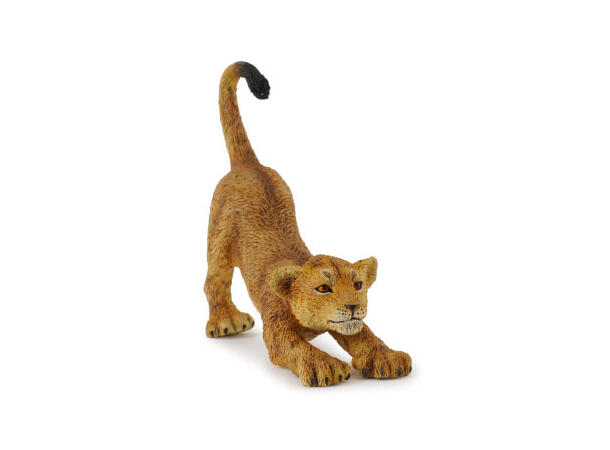 LION CUB (STRETCHING) 