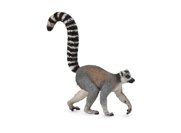 RING-TAILED LEMUR 