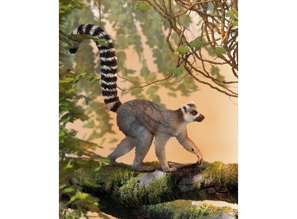 RINGHALELEMUR - M COLLECTA 