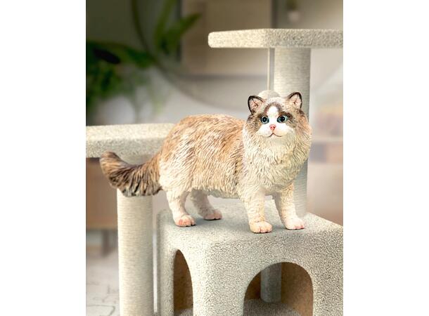 RAGDOLL 