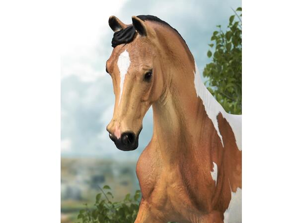TENNESSEE WALKING HORSE 