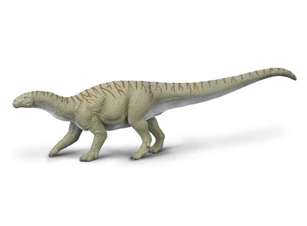 INGENTIA PRIMA XL COLLECTA 