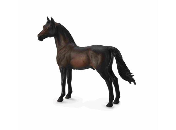 MORGAN STALLION BAY 